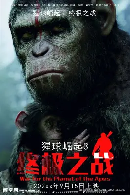 舞蹈专区